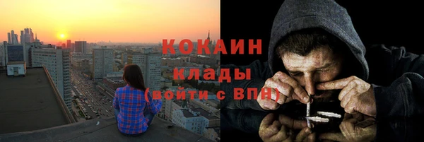 твердый Покровск