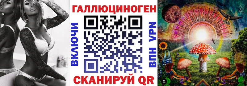 наркотики  Вичуга  Галлюциногенные грибы Psilocybine cubensis 